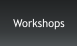 Workshops